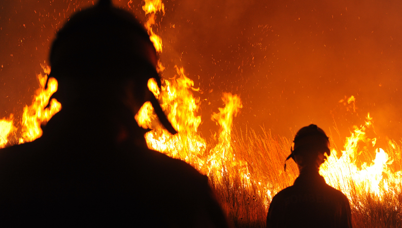 Linhas de apoio para empresas afetadas pelos incêndios Linhas de apoio para empresas afetadas pelos incêndios