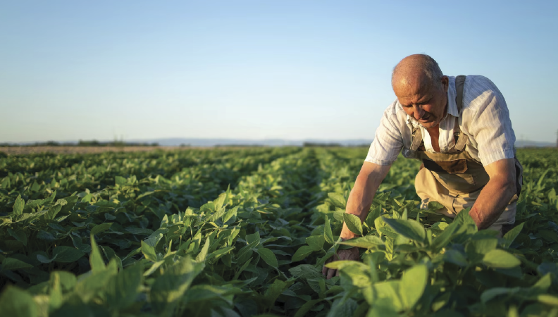 Garantia Mútua marca presença nas grandes feiras do setor agrícola Garantia Mútua marca presença nas grandes feiras do setor agrícola
